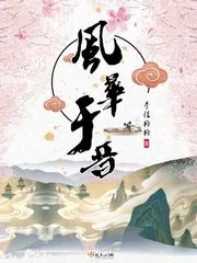 《风华于晋》小说封面
