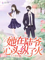 《她在陆爷心头纵了火》小说封面