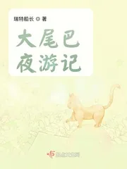 《大尾巴夜游记》小说封面