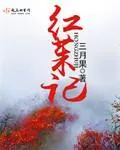 《红茱记》小说封面