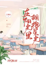 《在阳光里拥抱星光》小说封面