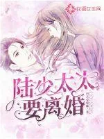 《陆少,太太要离婚》小说封面