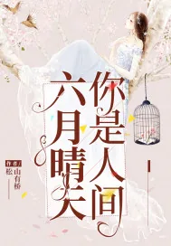 《你是人间六月晴天》小说封面