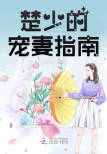 《楚少的宠妻指南》小说封面