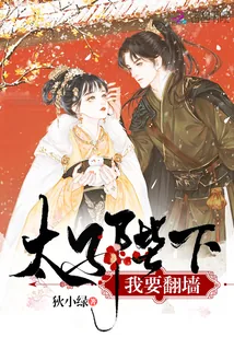 《太子陛下我要翻墙》小说封面