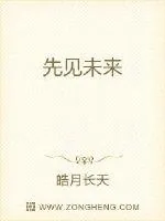 《先见未来》小说封面