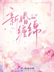 《新婚缠绵》小说封面