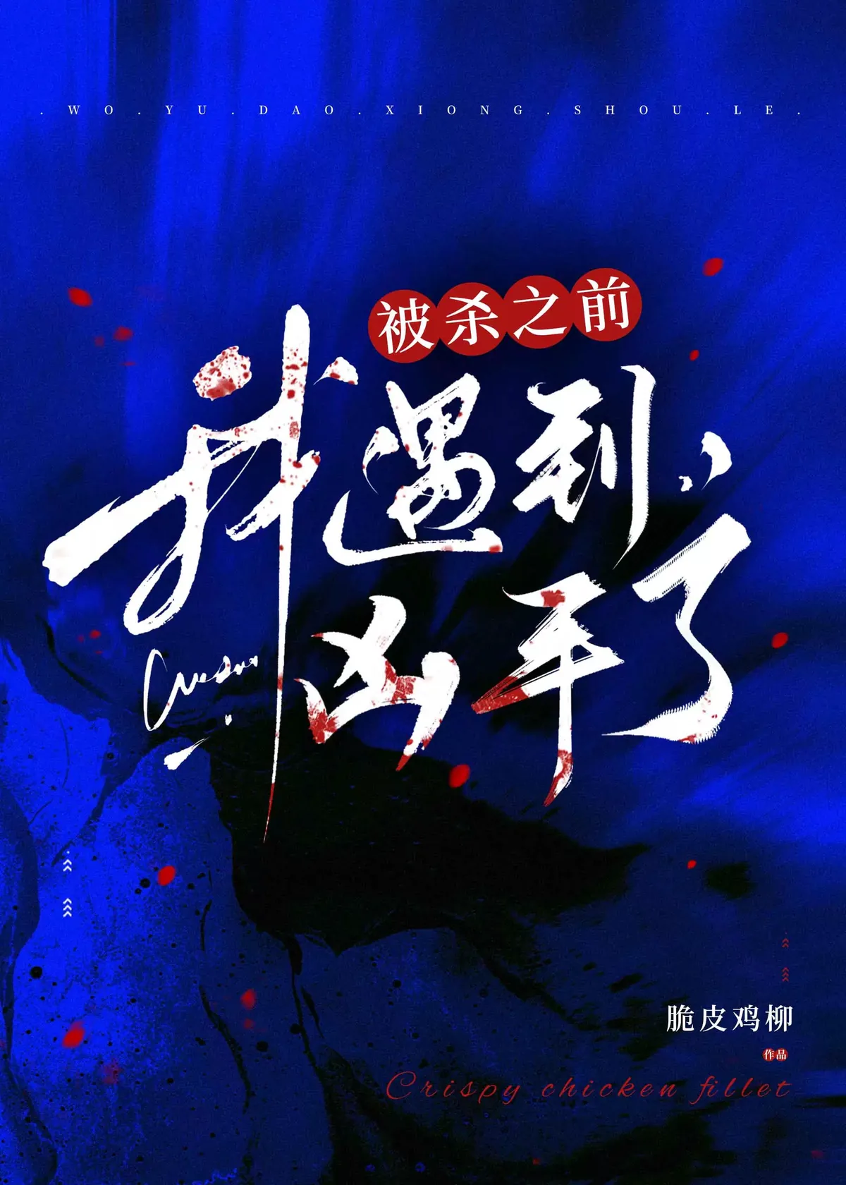 《被杀之前我遇到凶手了》小说封面