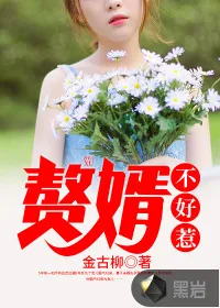 《赘婿不好惹》小说封面
