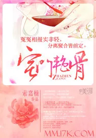 《宅门艳骨》小说封面