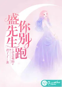 《念念难防：盛先生你别跑》小说封面